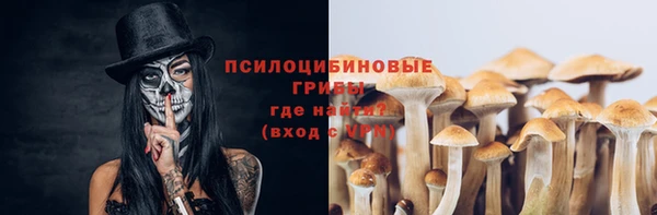 сатива Нея