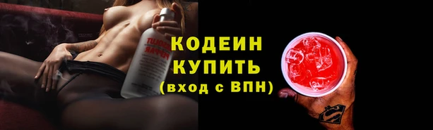 мет Новозыбков