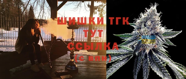 гидра Алзамай