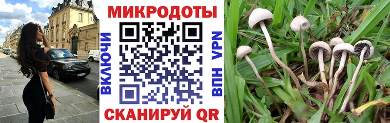 Псилоцибиновые грибы Magic Shrooms  блэк спрут   Нижние Серги 